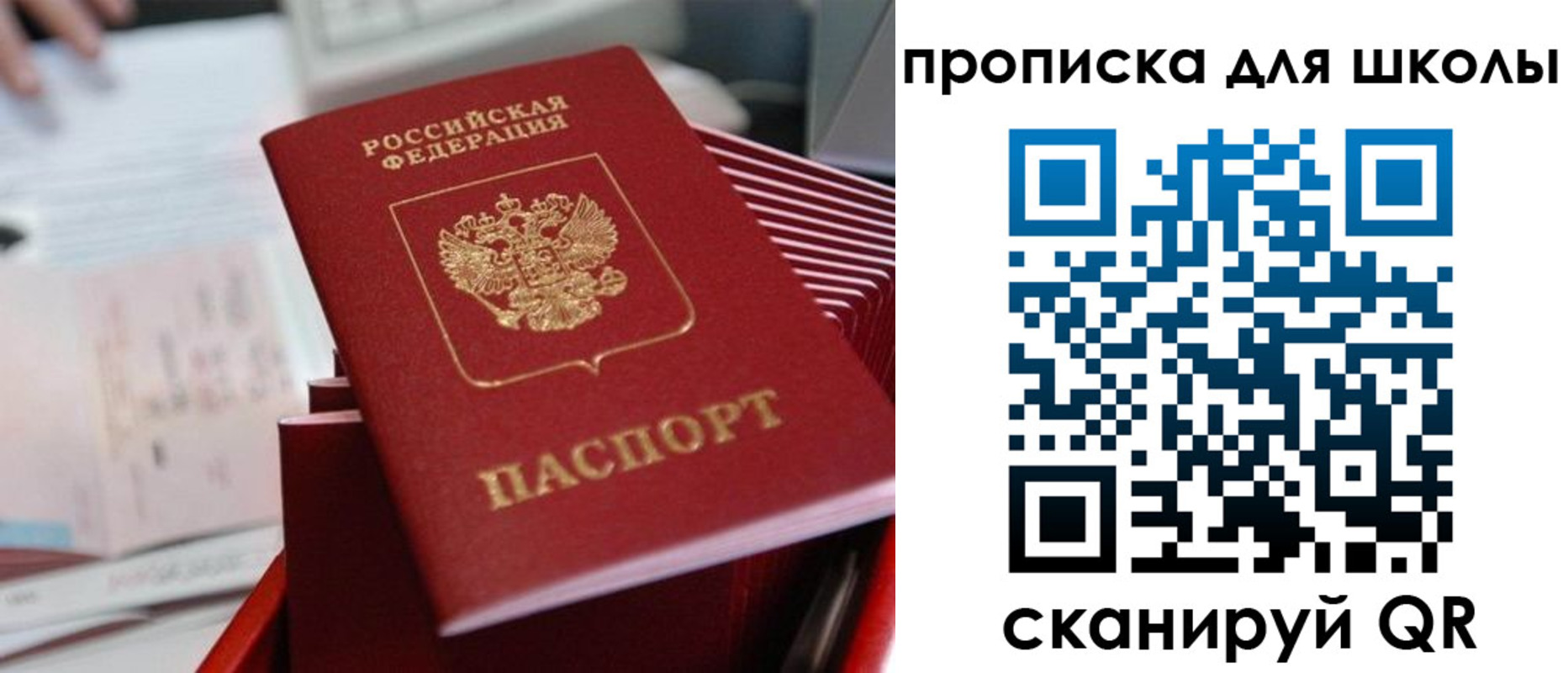 прописка для школы в Скопине